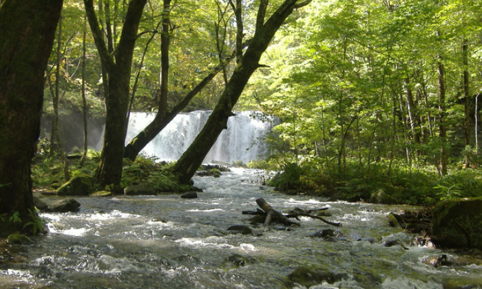 photo of Towada-Hachimantai National Park