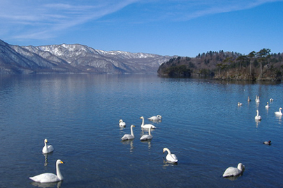 photo 1 of Towada-Hachimantai National Park