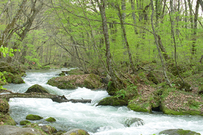 photo 2 of Towada-Hachimantai National Park