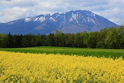 photo 3 of Towada-Hachimantai National Park