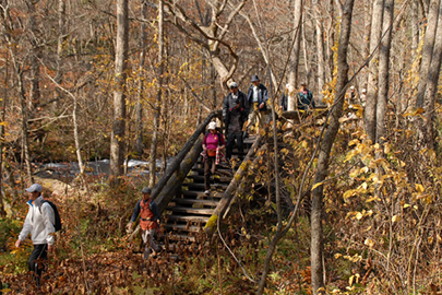 photo 6 of Towada-Hachimantai National Park