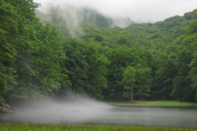 photo 8 of Towada-Hachimantai National Park