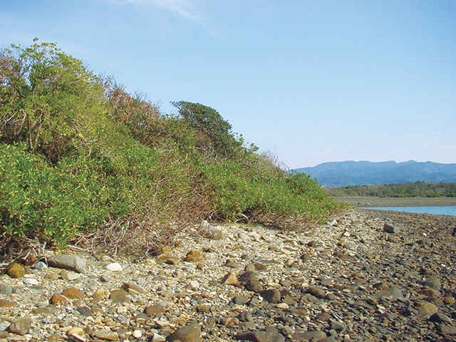 photo of Cape Magari