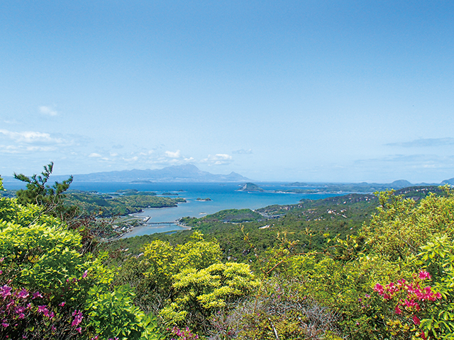 photo of Mt. Jiromaru (A prospect viewed from near the crest)