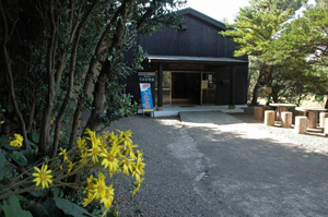 photo of Yakushima Umigame-Kan