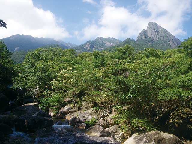 モッチョム岳の写真