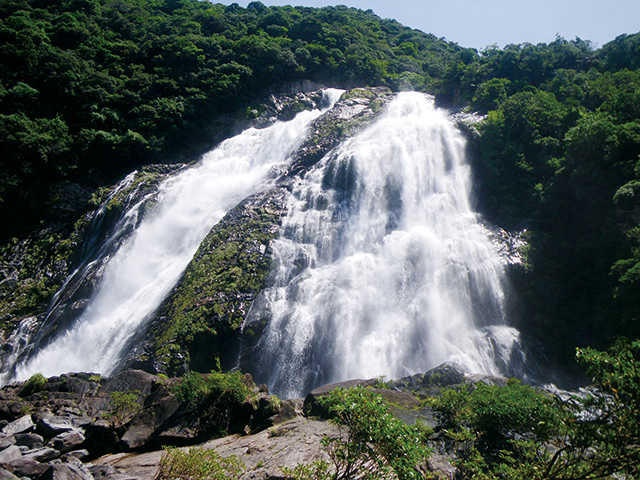 大川の滝の写真