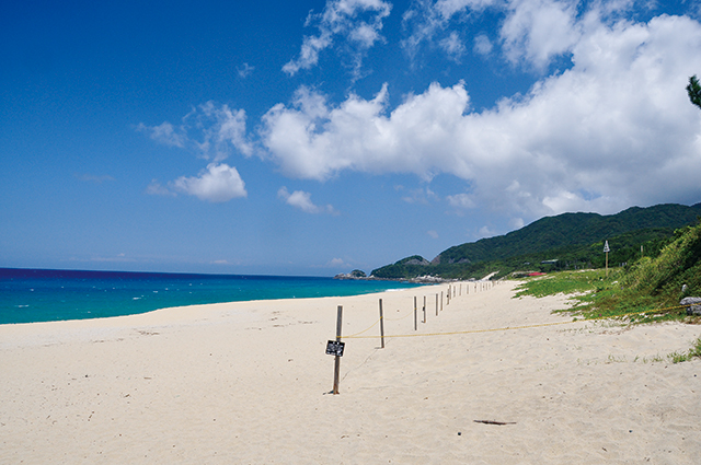 永田浜の写真