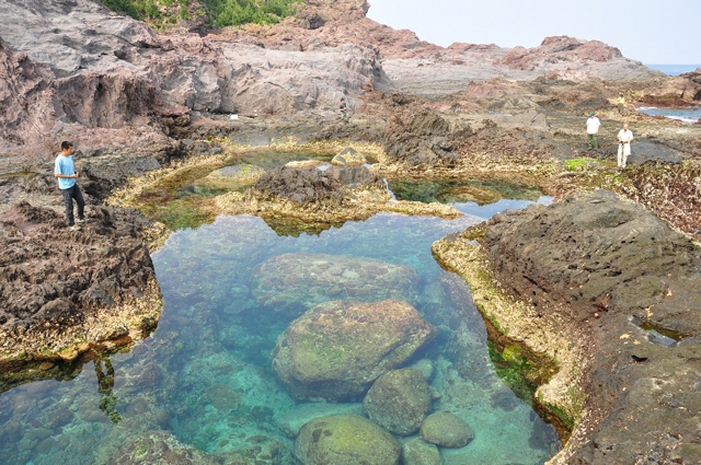 Megasaki Tide Pool