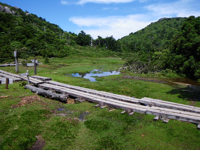 タイトル　花之江河（標高1600ｍ）