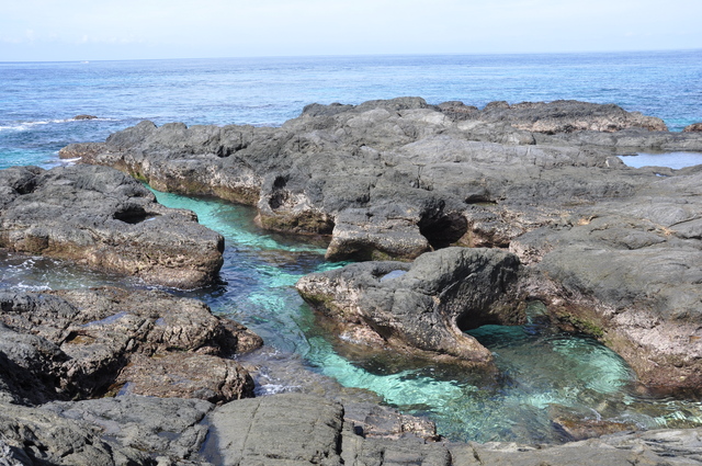 タイトル　栗生塚崎海岸（タイドプール）