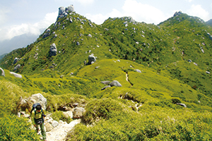 A Ridgeline with Exposed Granite