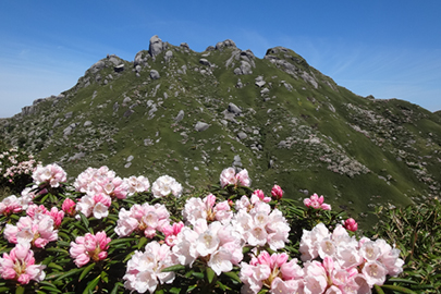 photo 1 of Yakushima (Island) National Park