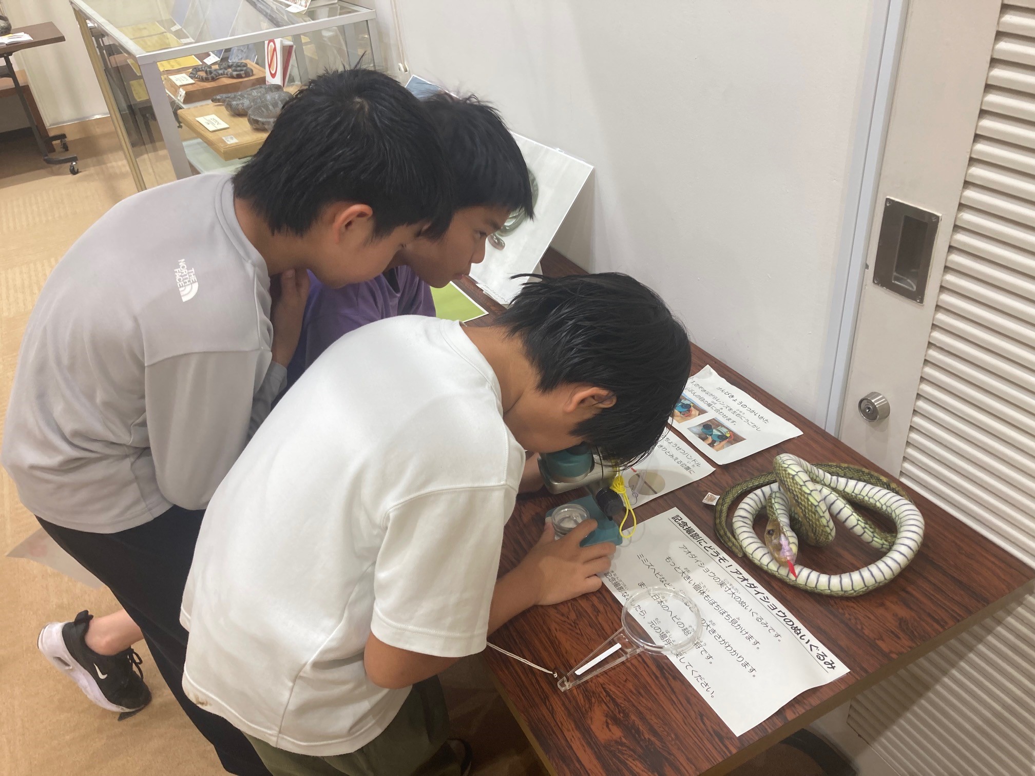 2025年7月19日(土)~8月31日(日)で開催する夏休み特別企画展「にょろにょろ展」の様子。