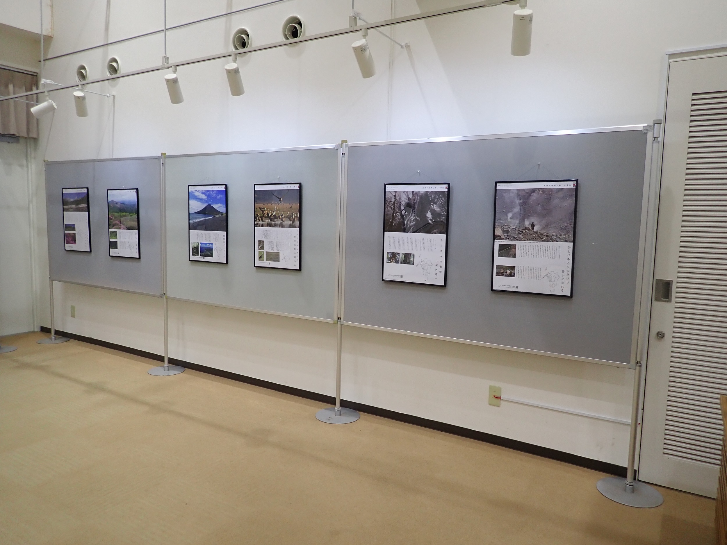 世界遺産センター内で開催された、令和5年度環境省アクティブ・レンジャー写真展の様子。パネルが掲示されています。