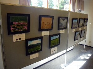 遺産センターで開催された、地球のいのち、みつめてみよう展示の様子。たくさんの写真が、ボードに掲示されています。