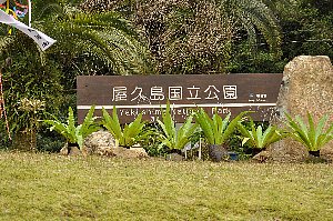 屋久島国立公園と白い文字で表示された、木製の看板の写真。