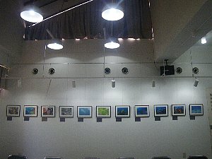 遺産センターで開催された海のいきもの展の様子。白い壁に、たくさんの写真が整然と掲示されています。