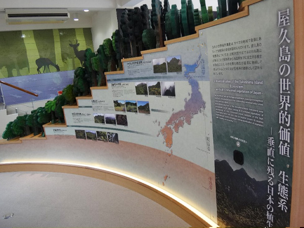 屋久島の植生模型の展示の下部スペースにある展示です。