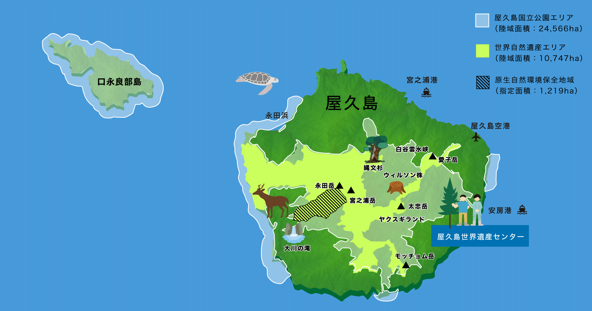 屋久島国立公園の陸域面積は、24,566ヘクタールです。屋久島の約42％にあたる20,989ヘクタールと口永良部島（くちのえらぶじま）全域にあたる3,577ヘクタールが公園区域に指定されています。また、地先海域も公園区域に指定されており、屋久島と口永良部島で合わせて7,987ヘクタールになります。陸域と海域を合わせた公園面積は、32,553ヘクタールです。なお、屋久島国立公園の陸域の約39％にあたる10,747ヘクタール（特別保護地区と第1種特別地域の一部）が世界自然遺産地域に登録されています。また、ほとんど人の手の加わっていない原生の状態が保たれている地域「原生自然環境保全地域」に1,219ヘクタールが指定されています。標高1,936ｍ、九州最高峰の「宮之浦岳（みやのうらだけ）」は、ほぼ円形の島である屋久島の中央部に位置しています。確認されている中で最大のヤクスギである「縄文杉」は「宮之浦岳（みやのうらだけ）」の北東方向、歩いて約４～５時間（約６km）離れた位置に、さらに、北東方向に歩いて約６～７時間（約１２ｋｍ）、標高600ｍから1,050ｍの位置に、苔が繁茂する原生的な森林と花崗岩が削られた渓流を観賞できる白谷雲水峡があります。屋久島東部の海の玄関口、安房港（あんぼうこう）から約１時間、標高1,000mから1,300mの位置には「ヤクスギランド」があり、数多くのヤクスギを鑑賞できます。また、「日本の滝100選」にも選ばれている落差88mの大川（おおこ）の滝は島の南西部、海に近い場所に、5月から7月にウミガメの産卵が観察できる永田浜は島の北西部にあります。屋久島世界遺産センターは島の東南東の山手、宮之浦港（みやのうらこう）から約30分、安房港（あんぼうこう）から約10分、屋久島空港（小瀬田・こせだ）から約15分の位置にあります。