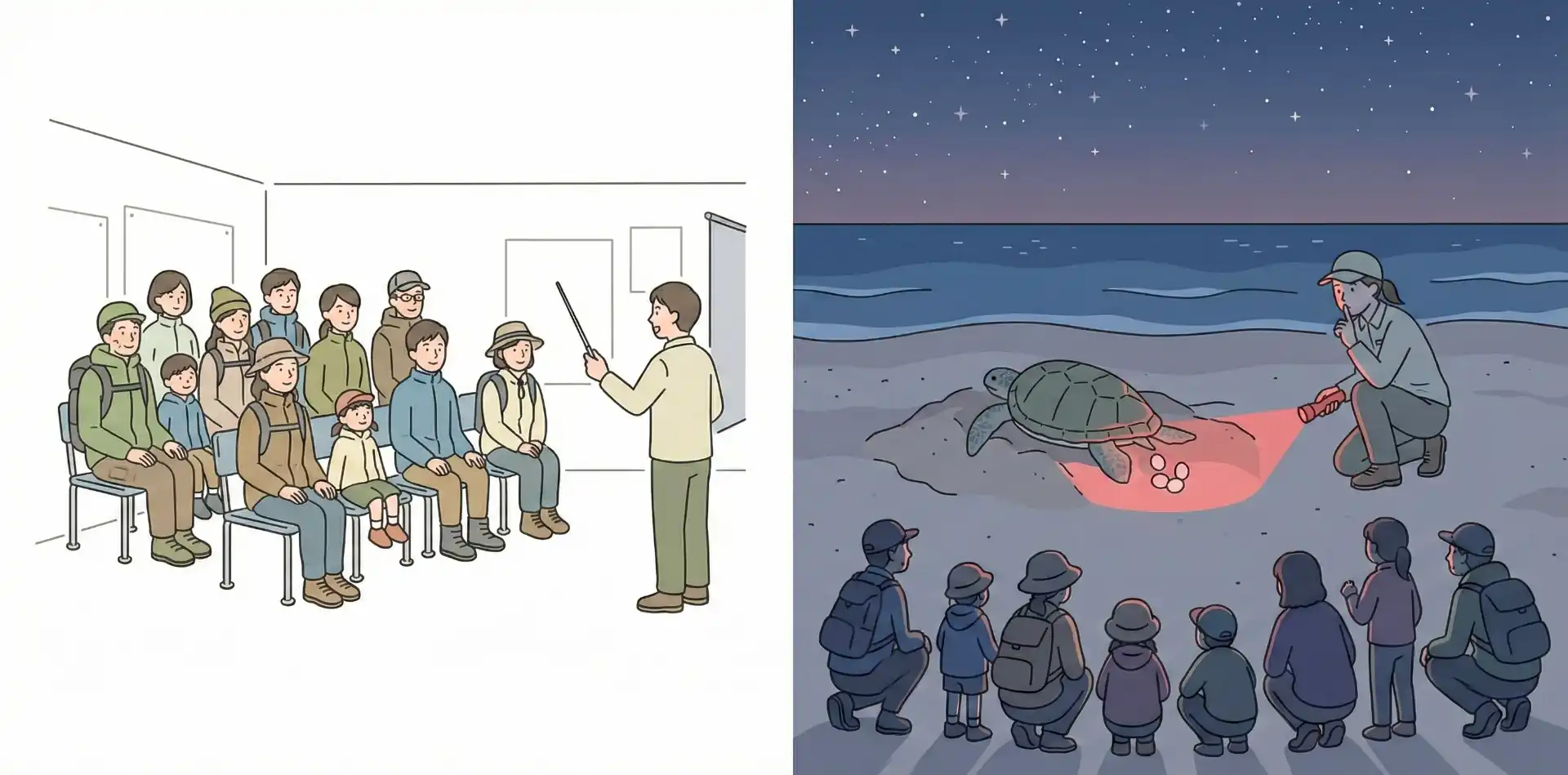 ウミガメ観察会のイラスト