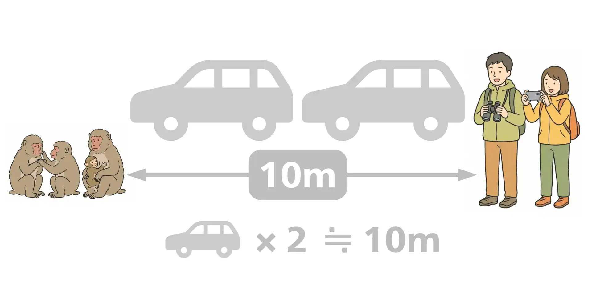 野生動物とは適度な距離をとる人とのイラスト