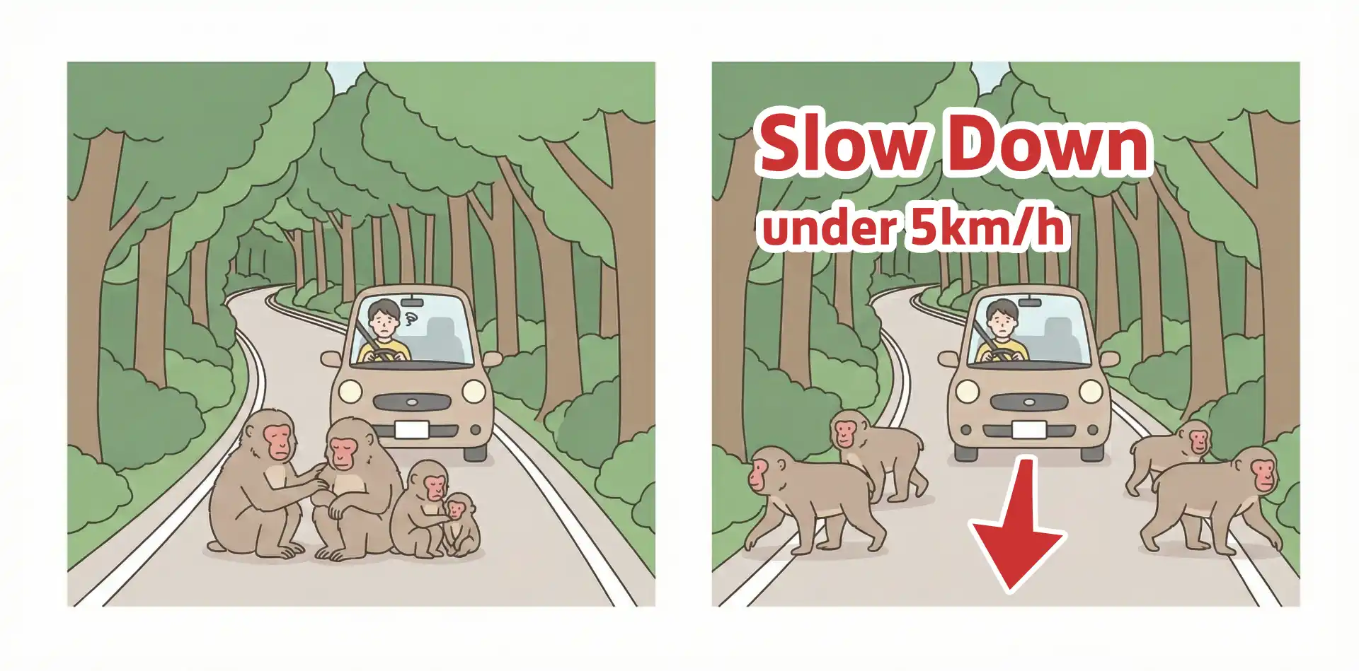 道路をふさいでいるサルのイラスト