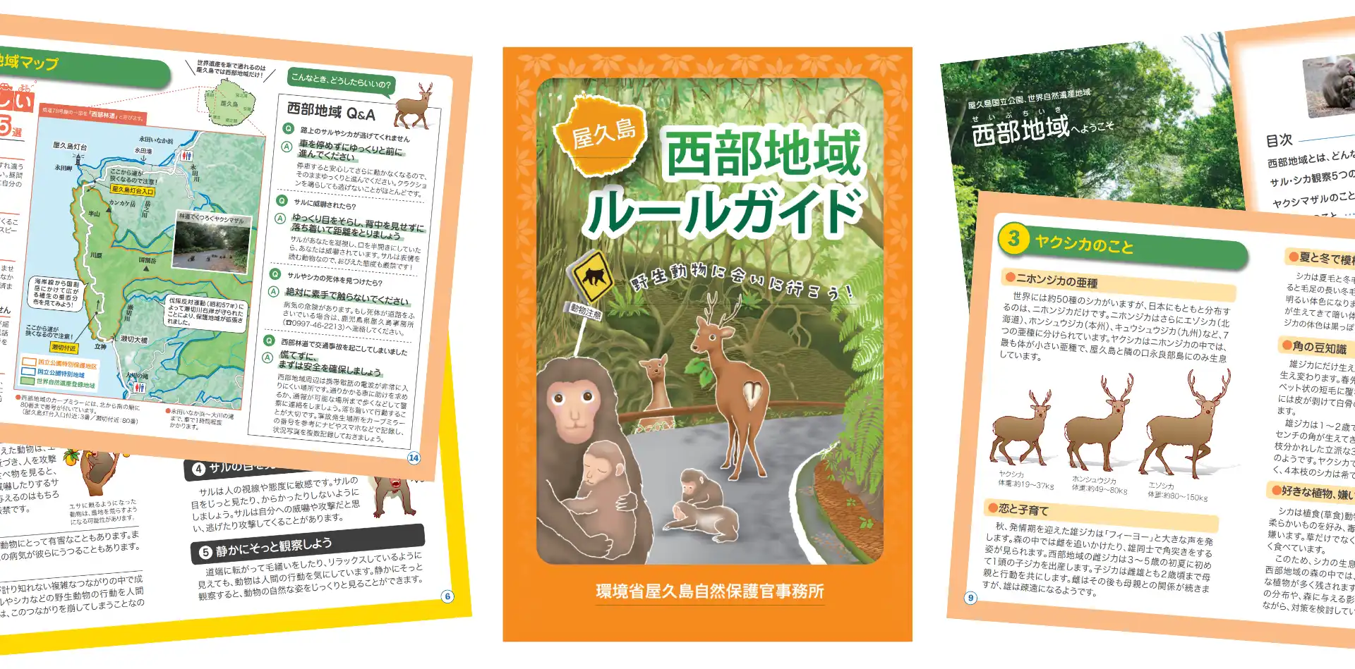 屋久島西部地域ルールガイドの表紙