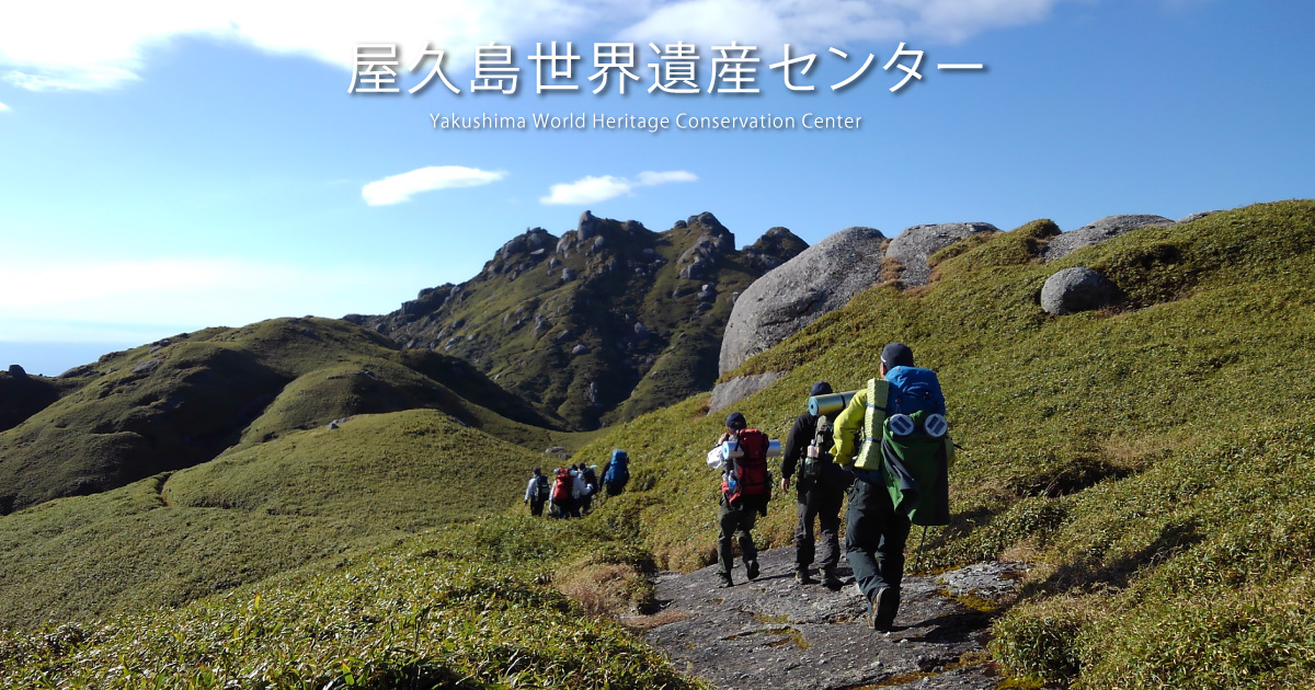 世界遺産登録に至る経緯_世界遺産 屋久島_屋久島世界遺産センター