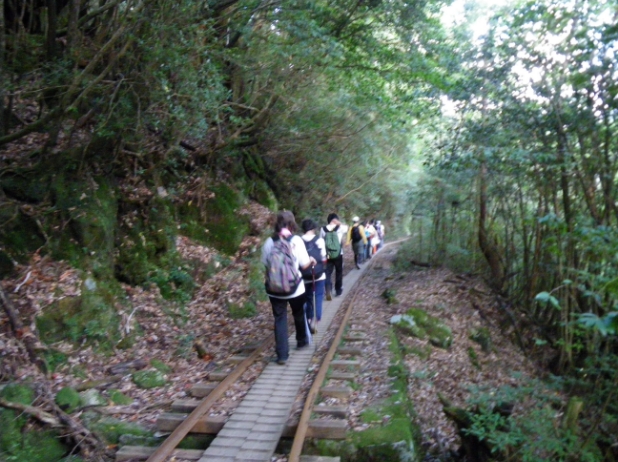 平常日のトロッコ道の様子。登山者は、一定間隔をあけて歩いてます。前後に別のグループはなく、自分のペースで歩けています。