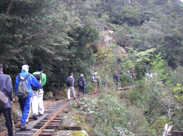 やや混雑日のトロッコ道の様子。一定の間隔はあいているものの、人が連なって歩いています。