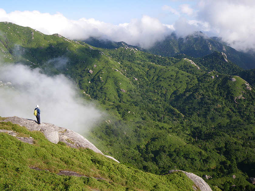 雄大な屋久島の山岳部の風景。空には大きな白い雲があり、左手前には、帽子をかぶり、リュックサックを背負った一人の登山者が、右奥にかけて雄大に広がる屋久島の山々を眺めています。
