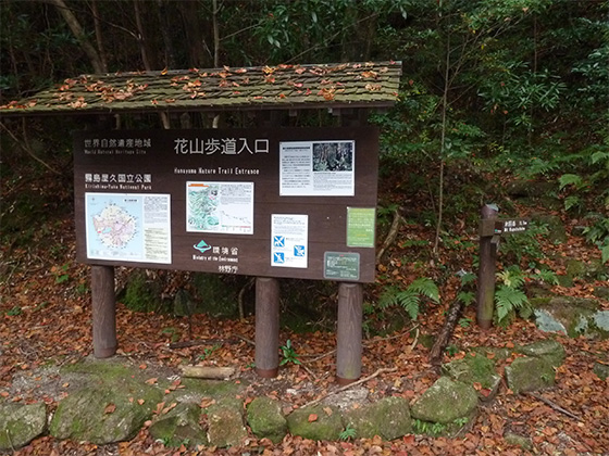 花山歩道入口に設置された、案内標識の写真。標識の板面には、花山歩道入口　世界自然遺産地域　屋久島国立公園と書かれている。そのほかに、登山道の地図や国立公園などの説明書きなど４枚の張り紙が張られています。
