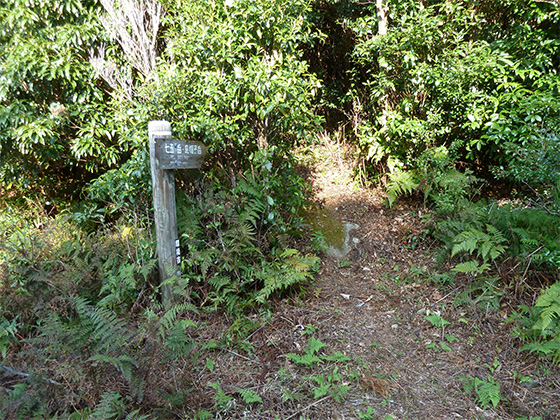 湯泊歩道入口の写真。森の中、整備されていない自然な小道が奥に続いています。現在、この歩道に至る林道が通行止めのため、この歩道は立ち入ることができません。