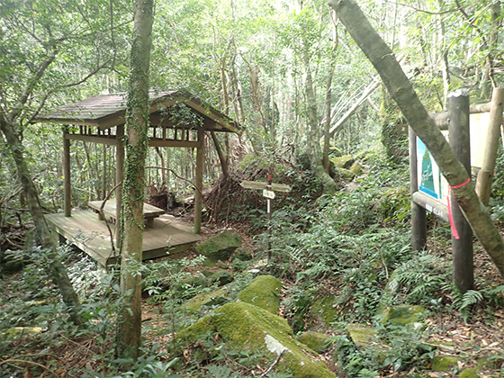 蛇之口滝分岐の写真。森の中に、数名程度が座れる木のベンチが設置された、屋根付きの小休憩場が設置されています。近くには、周辺を案内する標識があります。