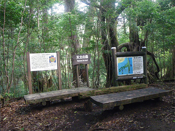天文の森の写真。天文の森と書かれた標識のほか、この場所を説明する解説標識が２つと休憩用のベンチが写っています。