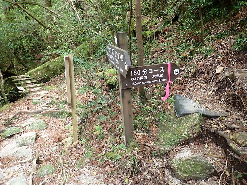 分岐E_(11)の写真。150分コース  ひげ長寿、太忠岳の表示が書かれた標識と、ランド入口の表示が書かれた標識の2つがあります。
