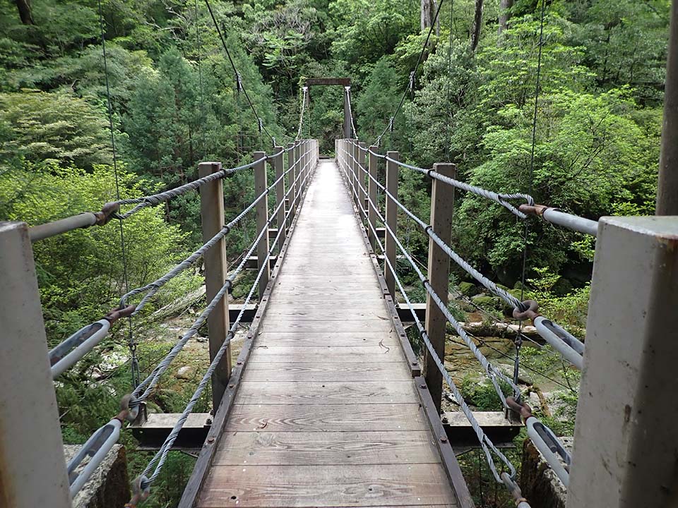 清涼橋の写真。一直線に、細い吊り橋がかかっています。左右は美しい緑に囲まれています。