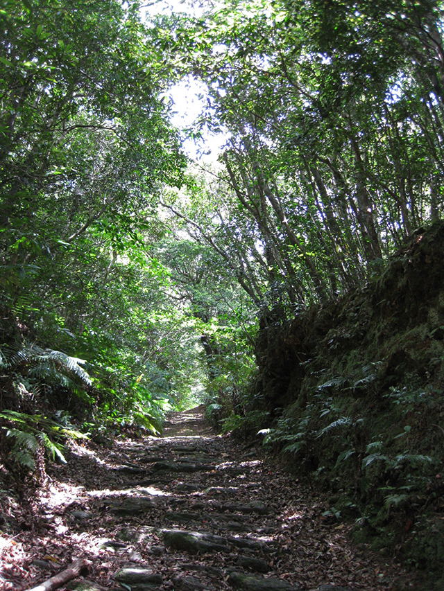 photo of Mt. Yonaha