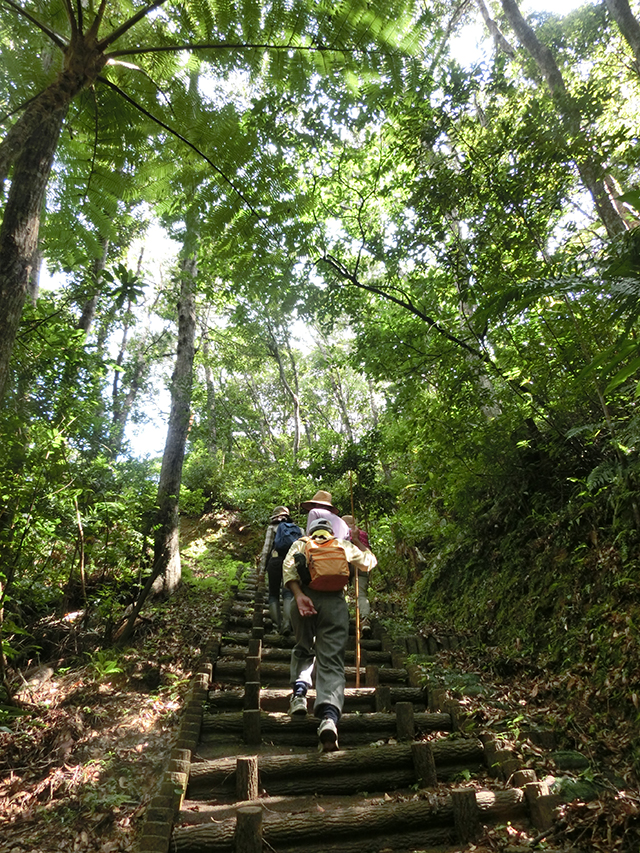 photo of Kunigami Forest Park