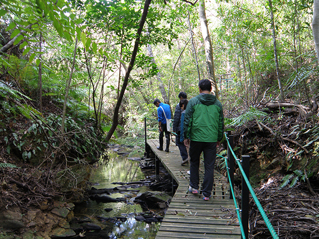 photo of Kunigami Environmental Education Center 