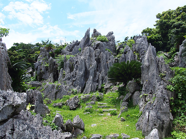 大石林山の写真