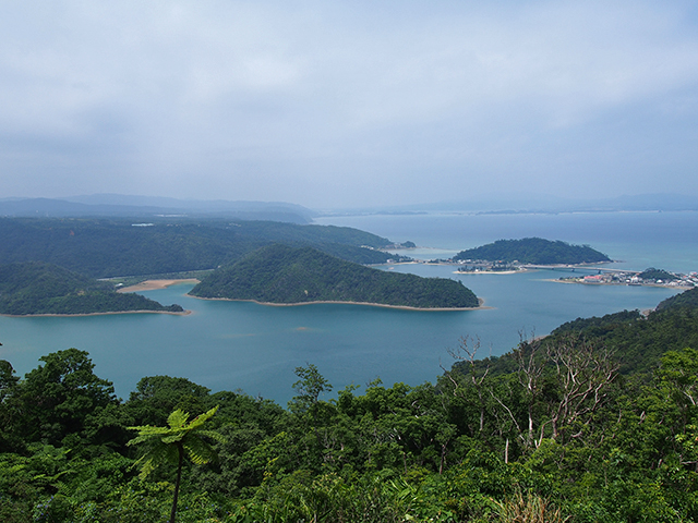 塩屋湾の写真