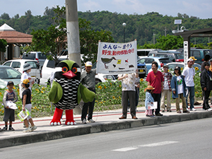 photo of Road Kill Prevention Campaign