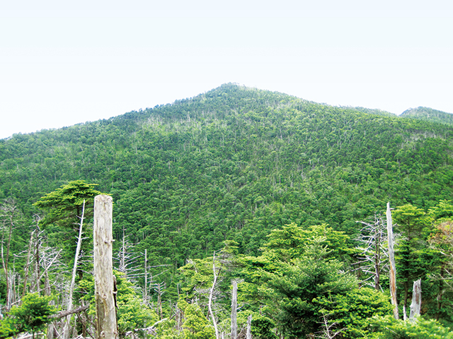 photo of Mt. Misen and Mt. Hakkyogatake