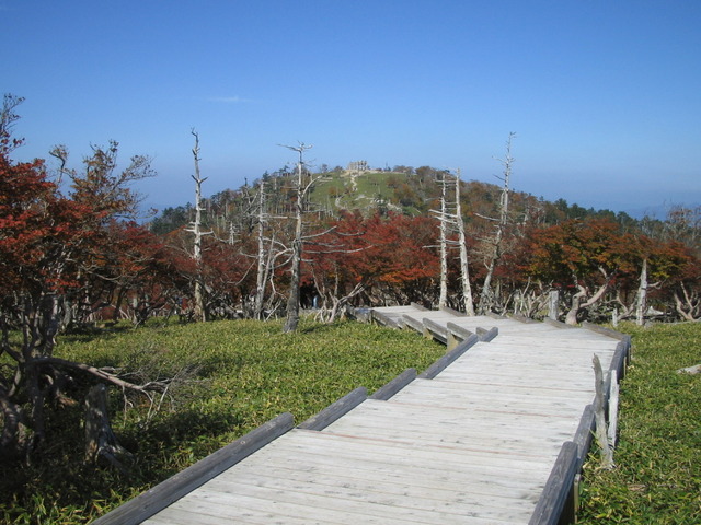 タイトル　正木峠の木道