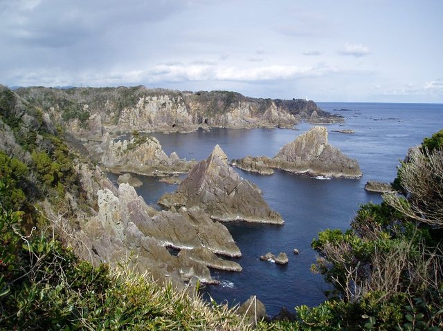 タイトル　海金剛