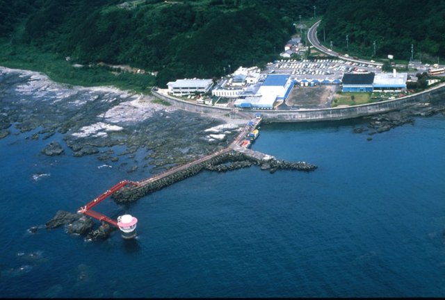 タイトル　空から見た海中公園センター