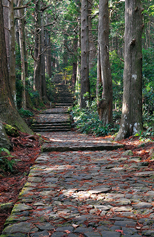 photo of Daimonzaka Stone Pave