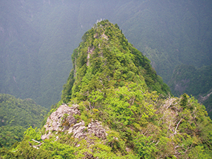 大台ヶ原随一の絶景（大蛇嵓からの展望）の写真